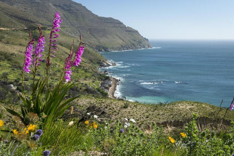Tintswalo Atlantic Villa Hout Bay Exterior photo